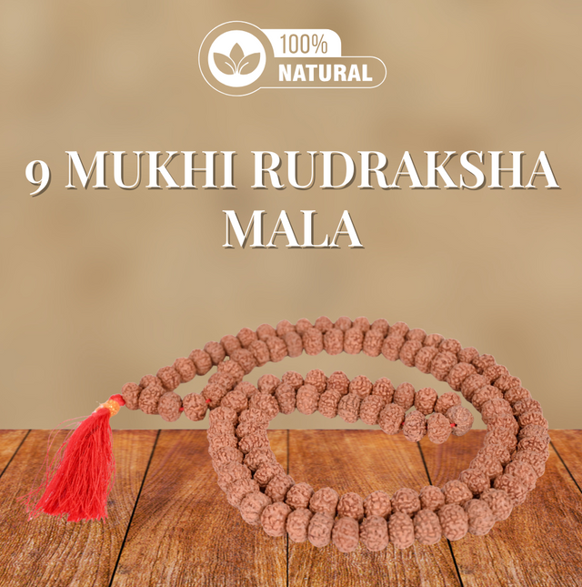 Export Quality Natural 9 Mukhi Indonesian Rudraksha Mala 108 +1 = 109 Beads