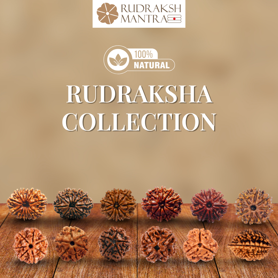 Rudraksha