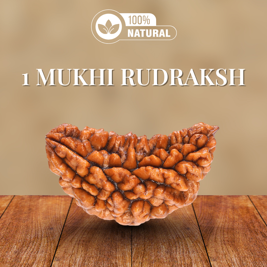 1 Mukhi Rudraksha
